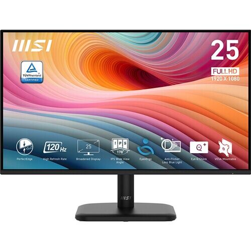 MSI Pro MP251L E2 24.5-inch Full HD IPS 120Hz Monitor