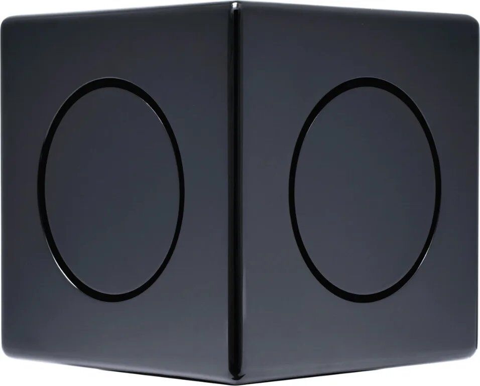 Earthquake MiniMe-DSP-P63 Black Subwoofer