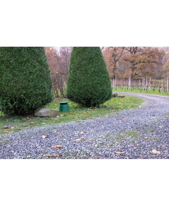 Dap Audio Garden Speaker GS-520, 20W, 5" , 100V