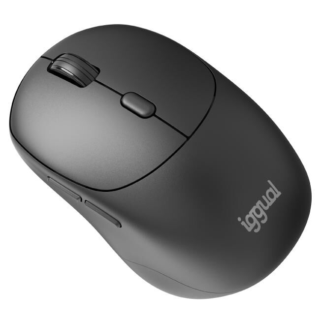 Igual NANO-OFFICE-6D Wireless Right-Handed Mouse