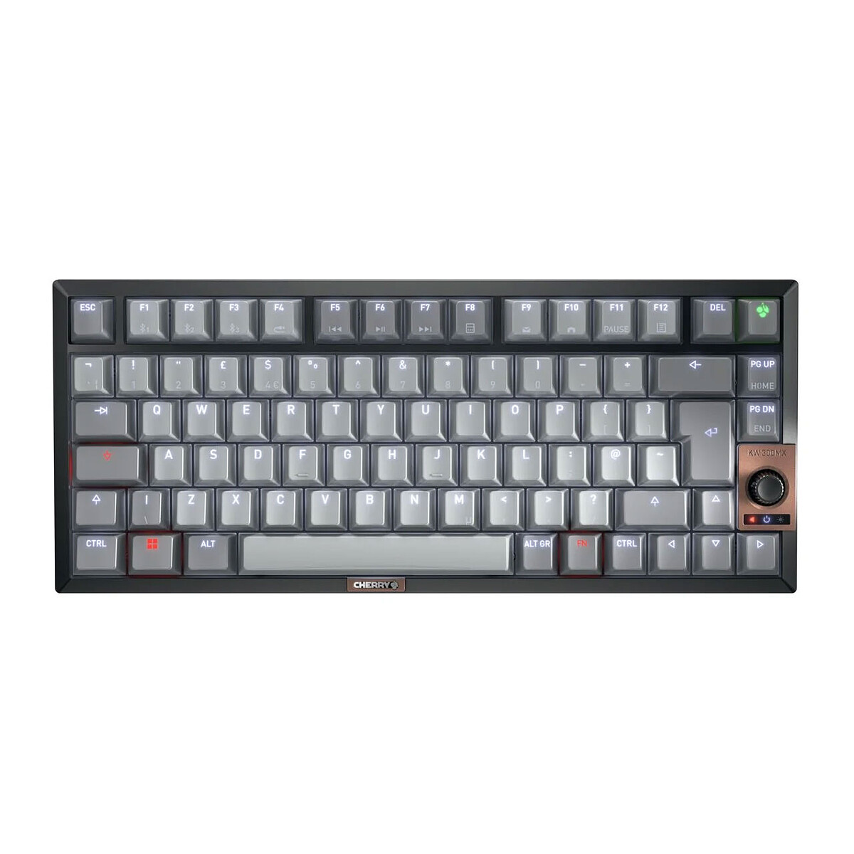 Clavier Cherry MX 300 MX (Noir)