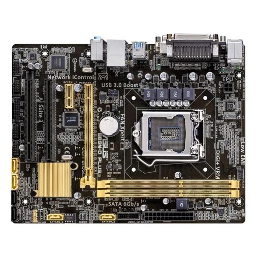 Placa base Asus B85M-D PLUS