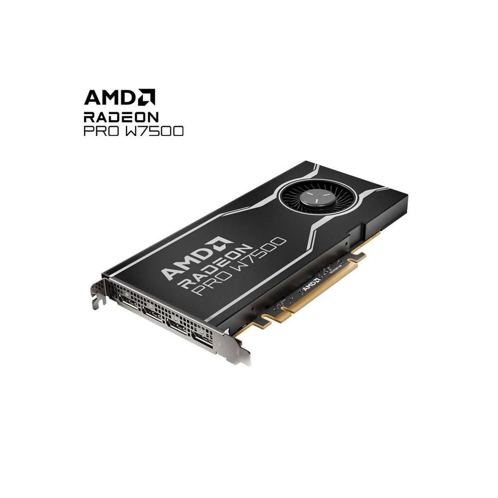 Carte graphique AMD Radeon PRO W6600 8 Go GDDR6 128 bits PCI Express 4.0 8x
