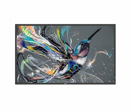 Philips 65-Inch Q-Line LED LCD Smart TV - 4K UHD (2160p) - Android