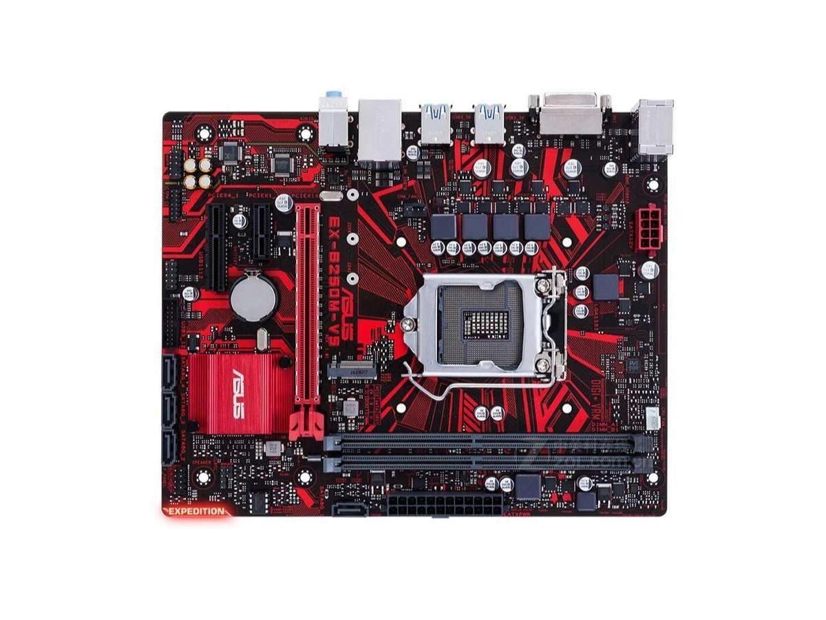 ASUS EX-B250M-V5 Motherboard