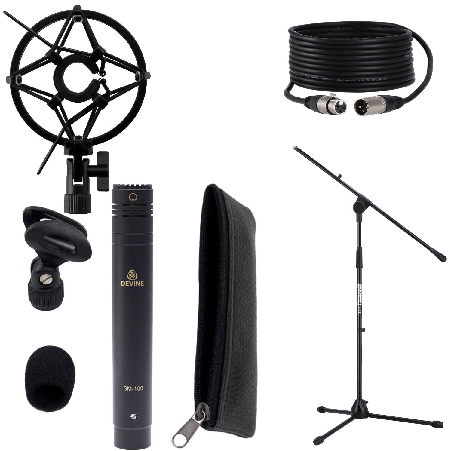 Devine SM100 - Recommended Set by BAX - Acoustic Guitar