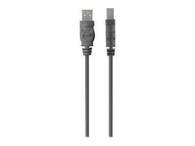Belkin USB Cable - USB (M) to USB Type B (M) - USB 2.0 - 1.8m - Charcoal