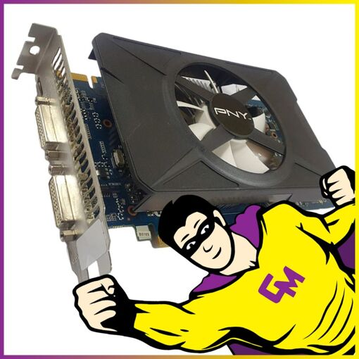 Carte graphique PNY Nvidia GeForce GTX 550 Ti 1 Go GDDR5 PCIe Micro HDMI DVI Haute Profile