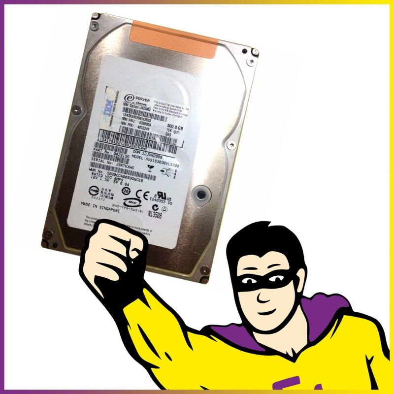 Disque dur interne Hitachi 300 Go SAS 3,5"