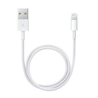Apple Lightning to USB Cable