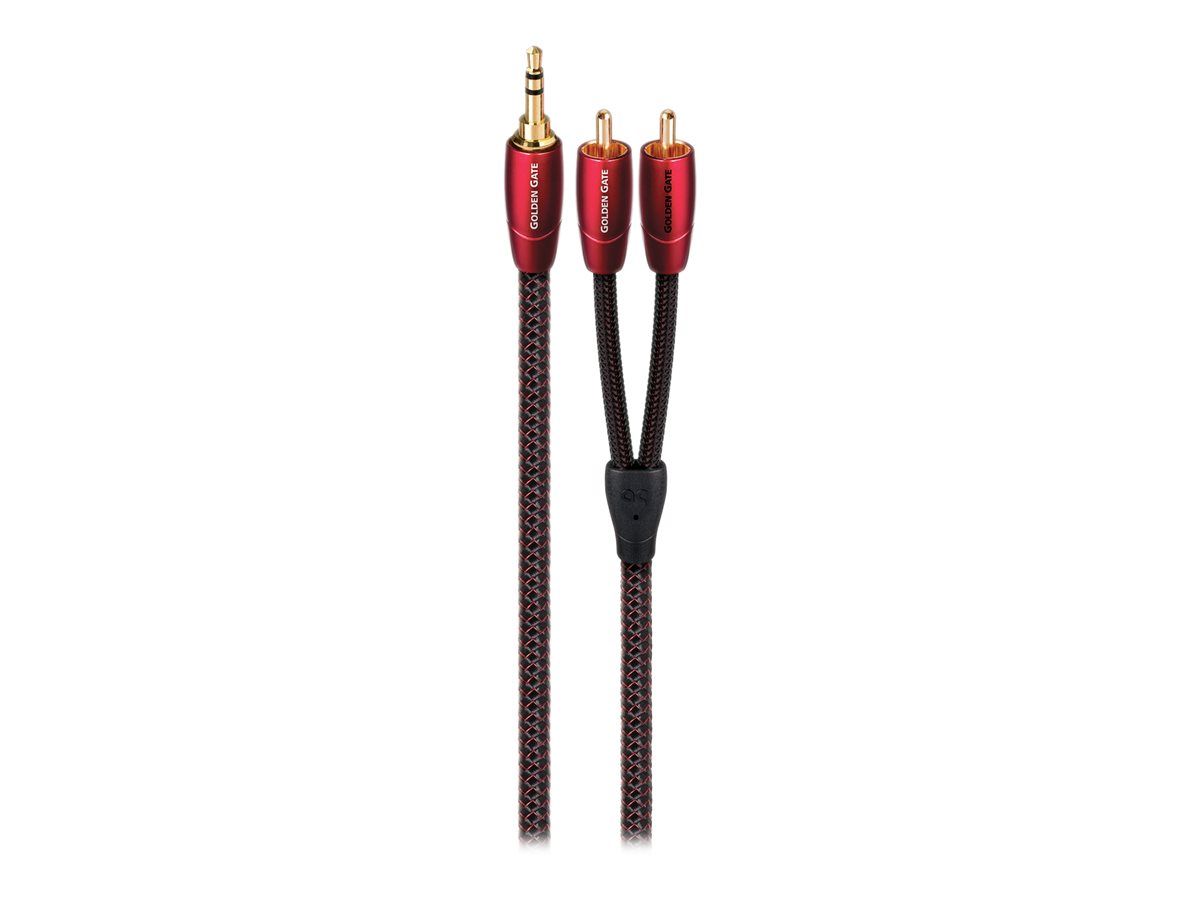 Cable de audio AudioQuest Golden Gate