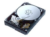 Samsung 320GB SpinPoint T166 HDD - 3.5" Internal Hard Drive