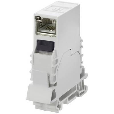 Adaptateur Weidmuller IE-TO-RJ45-C 8P8C 8946920000-1