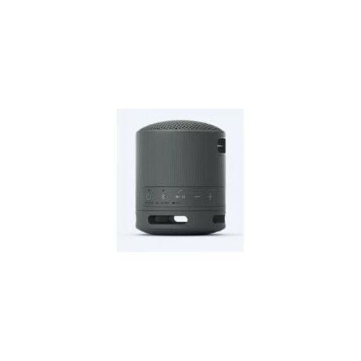 Altavoz portátil Haeger SP-10W