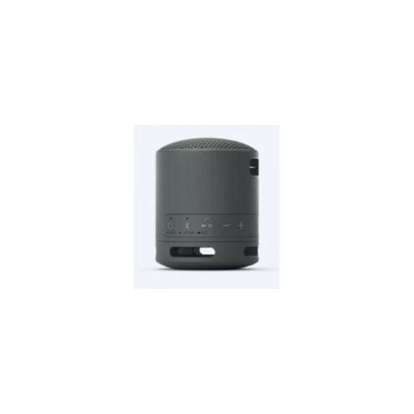 Haeger SP-10W Portable Speaker