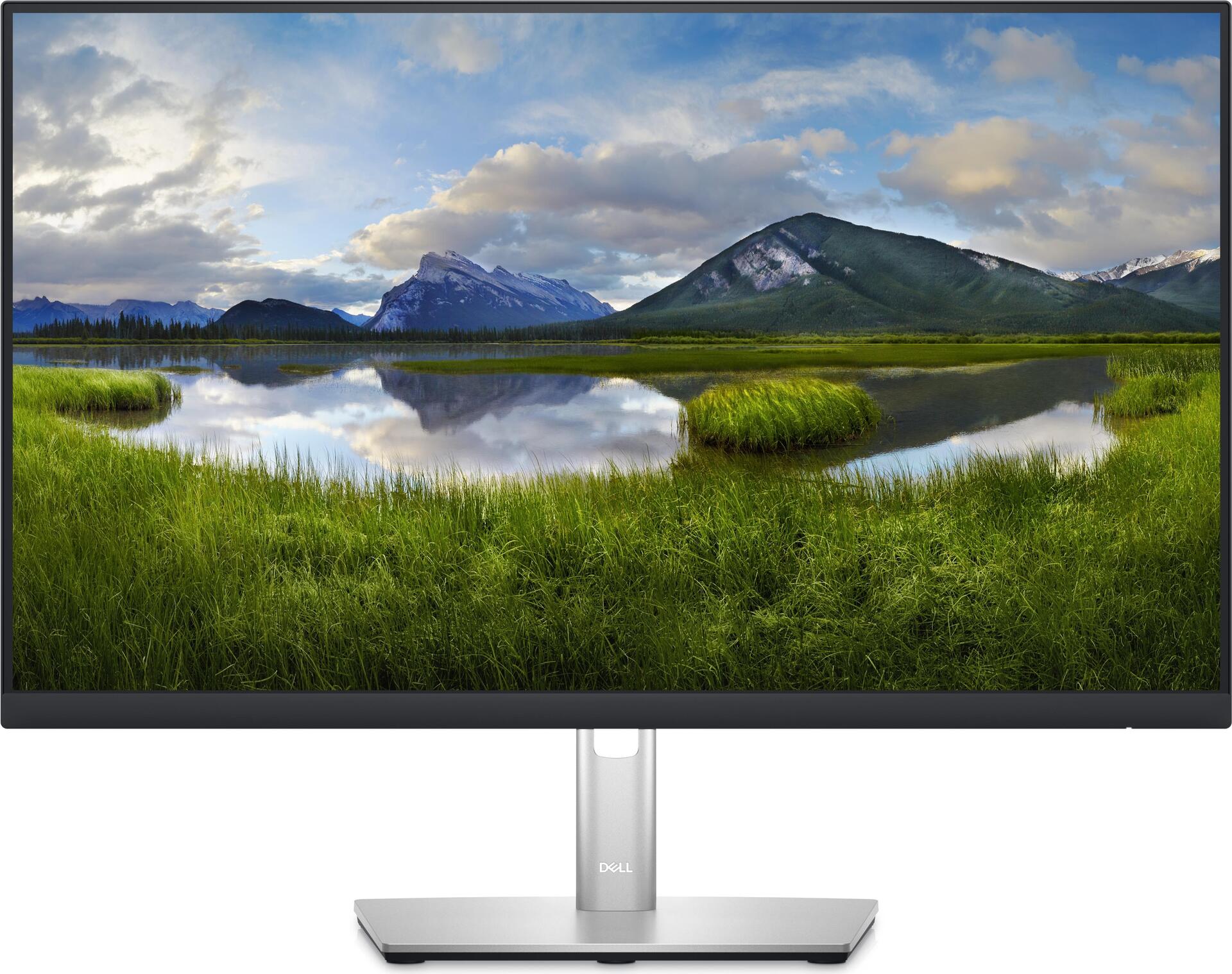 DELL P Series Écran 24 pouces QHD - P2423D