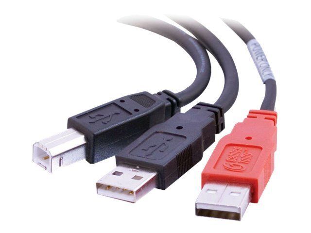C2G "Y" Cable - Câble USB - USB type B (M) pour USB, USB (alimentation uniquement) (M) - USB 2.0 - moulé