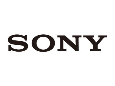 Sony - SDRAM - module - 256 Mo - SO DIMM 144 broches - 133 MHz / PC133 - 3.3 V - mémoire sans tampon - non ECC - pour VAIO PCG-GR114EK, PCG-GR114MK, PCG-GR114SK