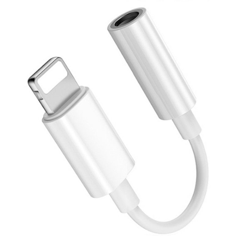DEALY Lightning to Audio Adapter Cable