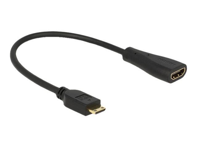 Delock - Câble HDMI avec Ethernet - 19 pin mini HDMI Type C mâle pour HDMI femelle - 23 cm - noir