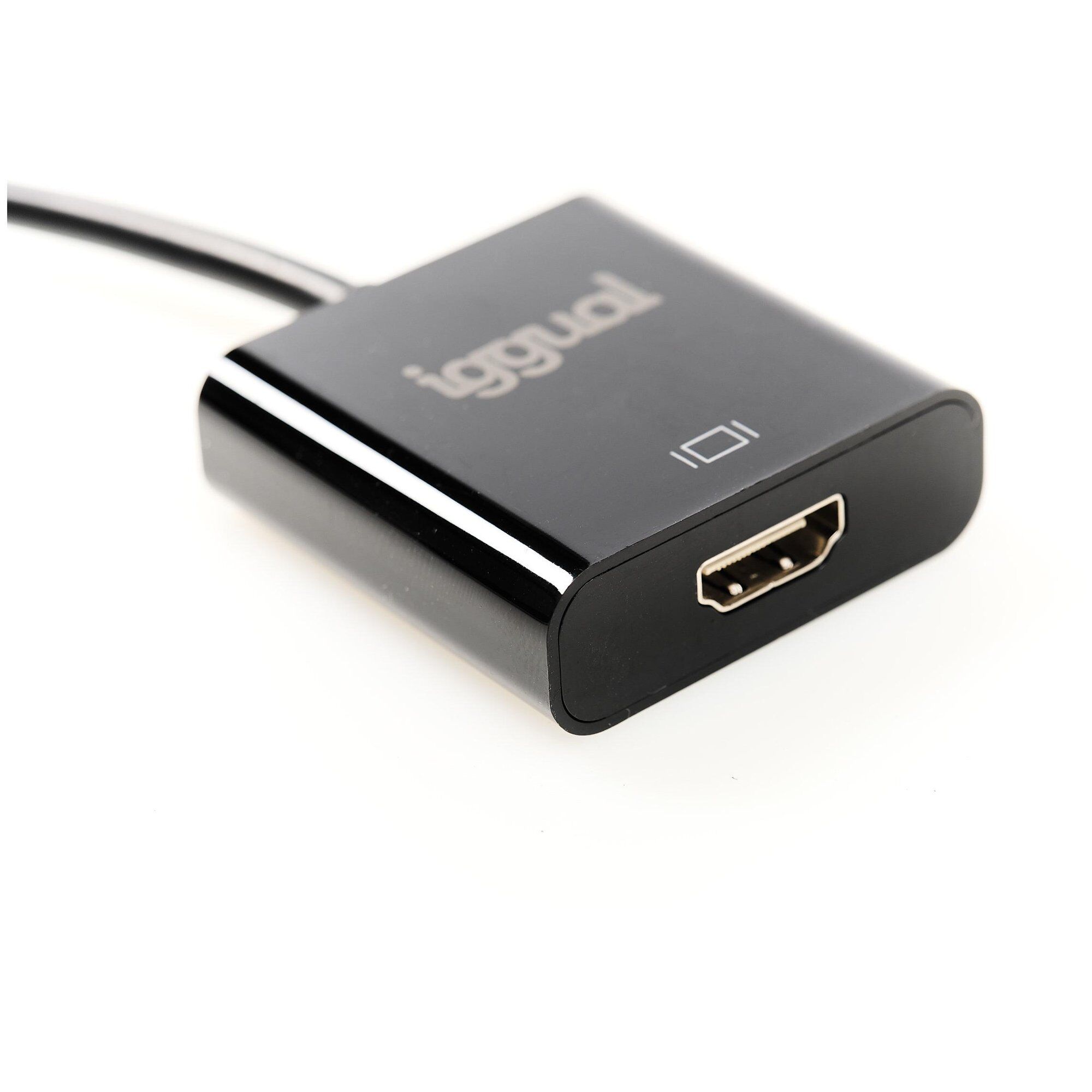 iggual IGG318041 câble vidéo et adaptateur 0,25 m DisplayPort HDMI Noir
