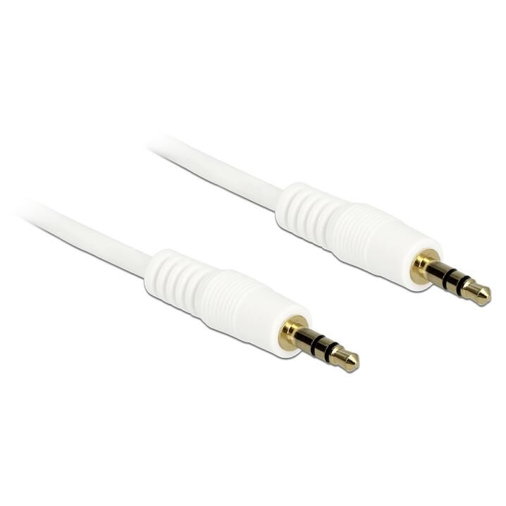 Delock - Câble audio - mini-phone stereo 3.5 mm mâle pour mini-phone stereo 3.5 mm mâle - 50 cm - blanc