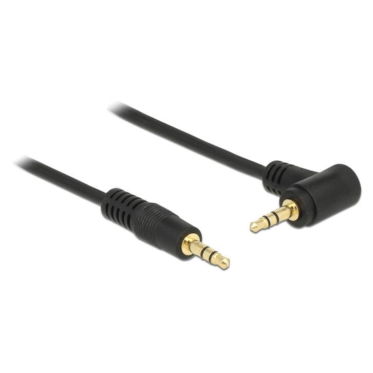 Delock - Câble audio - mini-phone stereo 3.5 mm mâle pour mini-phone stereo 3.5 mm mâle - 3 m - noir - connecteur incliné