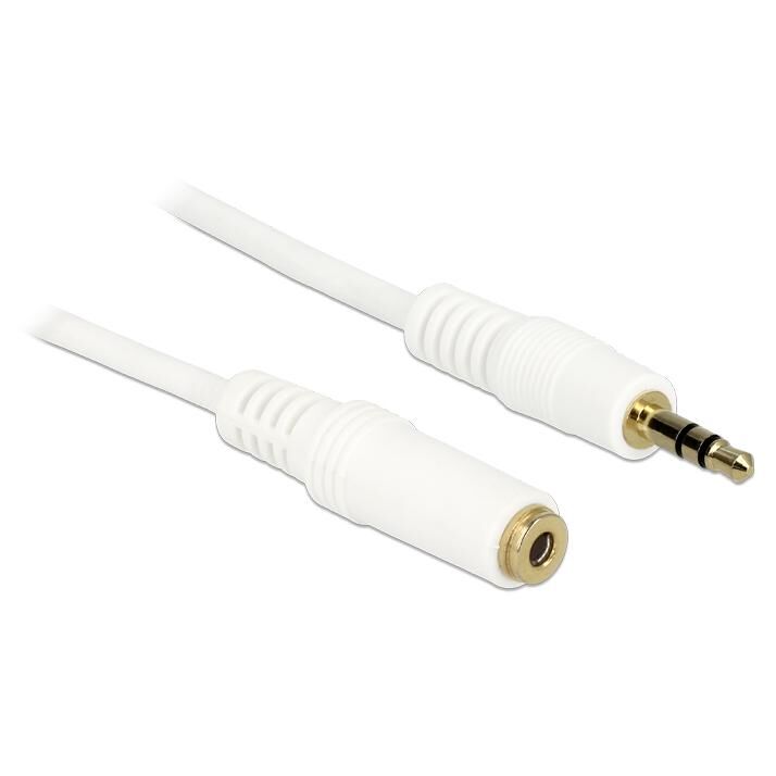 Delock - Rallonge de câble audio - mini-phone stereo 3.5 mm femelle pour mini-phone stereo 3.5 mm mâle - 1 m - blanc