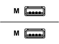 Roline - Câble USB - USB (M) pour USB (M) - USB 2.0 - 3 m - noir