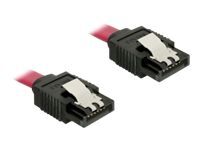 Delock Cable SATA - Câble SATA - Serial ATA 150/300/600 - SATA (F) pour SATA (F) - 10 cm - verrouillé, connecteur droite - rouge - pour P/N: 89270, 89271