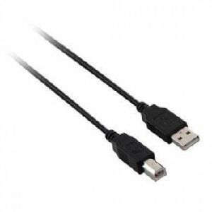 V7 - Câble USB - USB (M) pour USB type B (M) - 5 m - noir