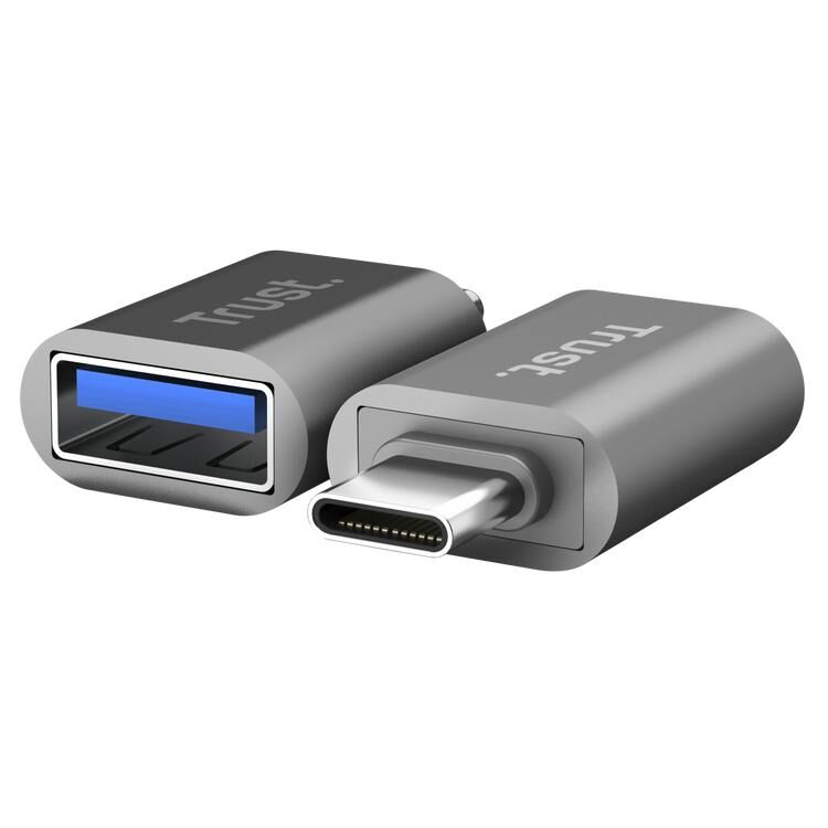 Trust 26221 adaptateur graphique USB Argent