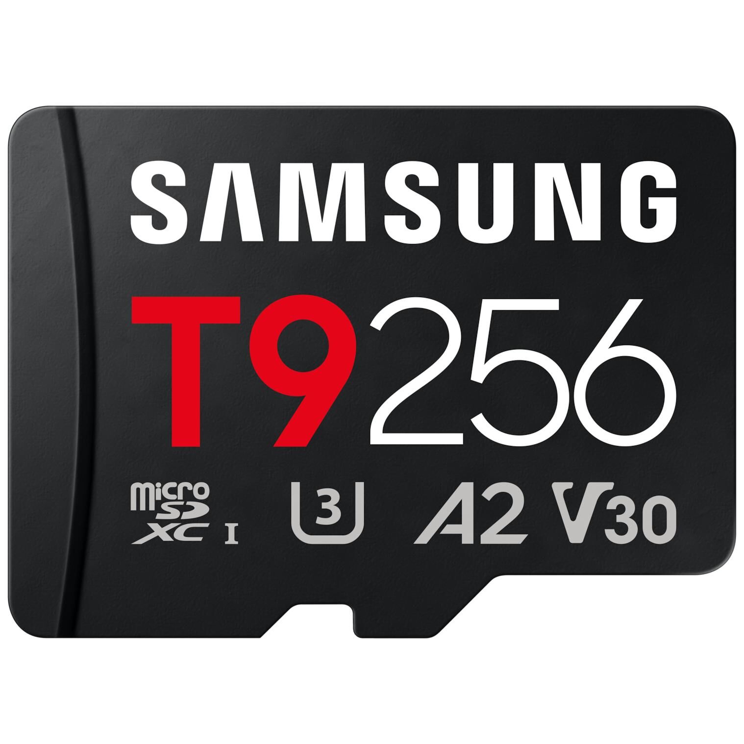 Samsung Carte microSDXC UHS-I 256 Go
