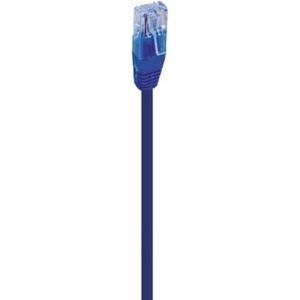 Connection Utp Cat6 Blue 0.5