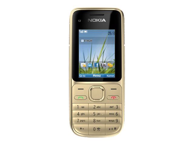 Nokia C2-01 Argenté