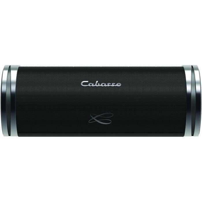 Cabasse SWELL - Enceinte sans fil Bluetooth - Gris
