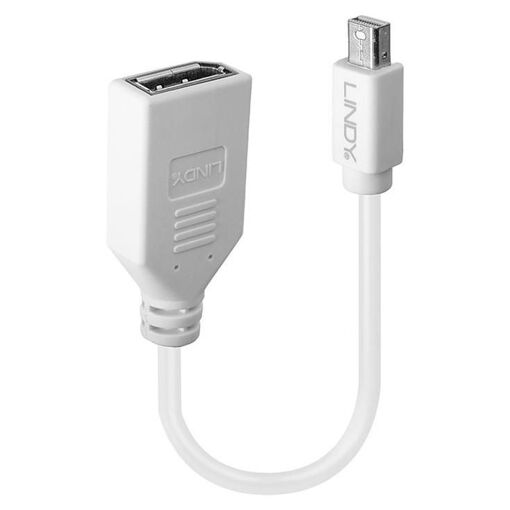 Lindy DisplayPort Adapter - Mini DisplayPort to DisplayPort - 6 inches - White