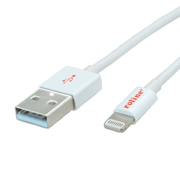 ROLINE Câble de charge et synchronisation pour appareils Apple à connecteur Lightning 1,8 m