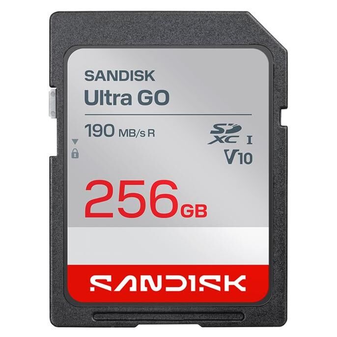 Carte mémoire flash SanDisk Ultra GO - 256 Go - UHS-I U1 / V10