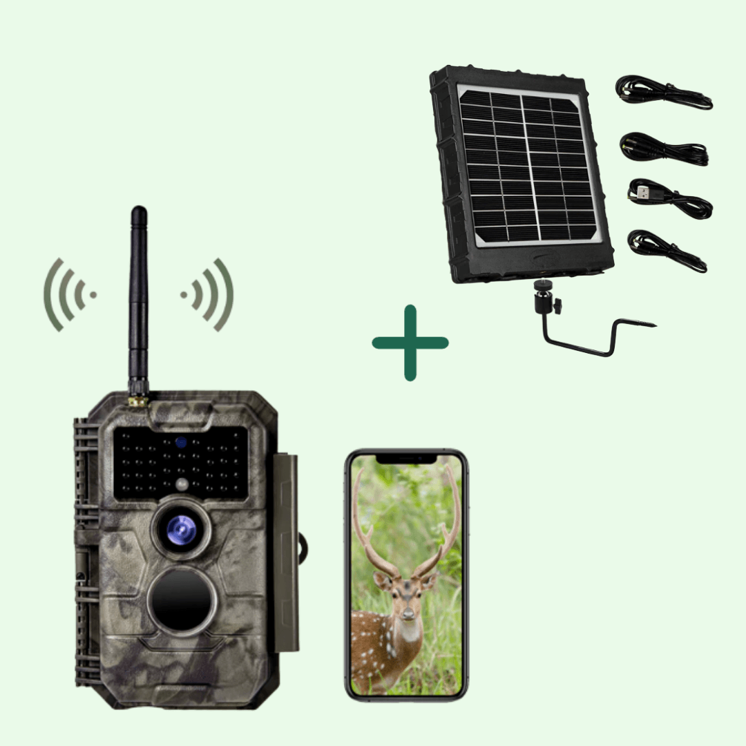 BlazeVideo Wi-Fi Camera 64MP Photo & Video 1296P W600 + Solar Panels Kit, Gray