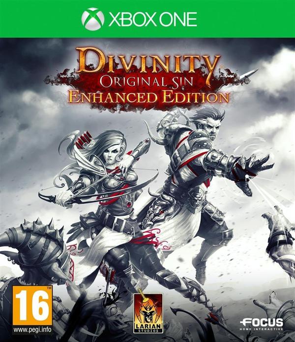 Divinity: Original Sin (Focus, PC)