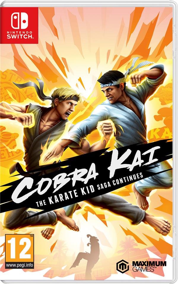 Cobra Kai: The Karate Kid Saga Continues