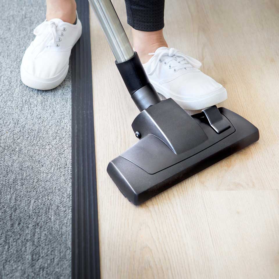 Aspiradora vertical Vacmaster D8