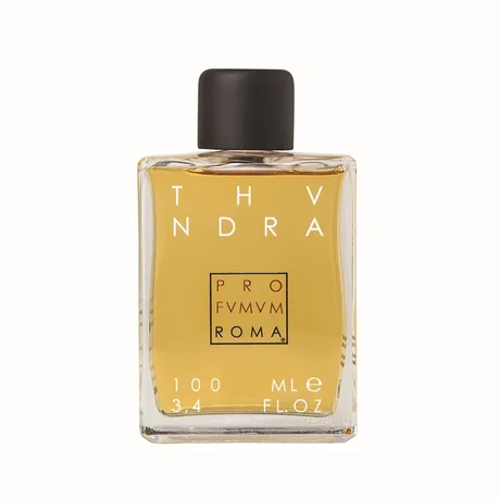 Parfum Profvmvm Roma Thunder 100 ml