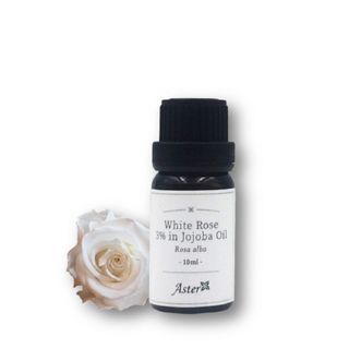 Huile essentielle Aster Aroma - 3% de rose blanche pure dans huile de jojoba organique, 10ml