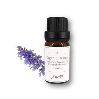 Aster Aroma - Organic Hyssop Essential Oil (10ml)