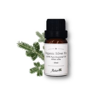 Aster Aroma Organic Silver Fir Essential Oil (Abies Alba) - 10ml