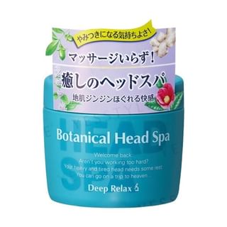 Ishizawa-Lab Botanical Head Spa 270g