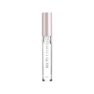 Labial relleno brillante glamuroso perfecto The Saem 3,8g