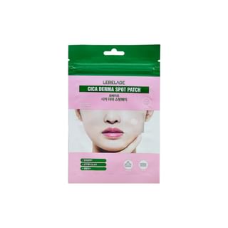 Patchs Cica Derma Spot de LEBELAGE - 40 patchs